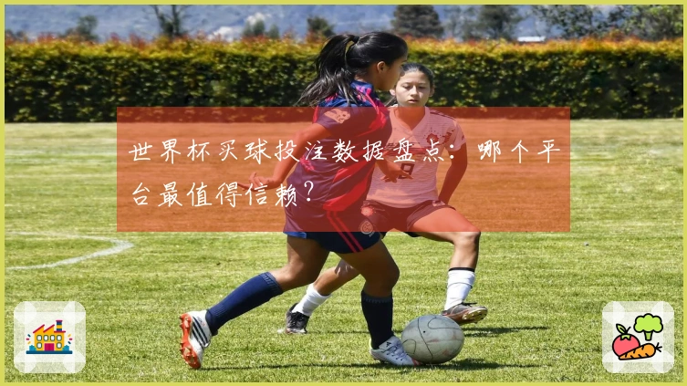 世界杯买球投注数据盘点：哪个平台最值得信赖？