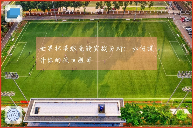 世界杯滚球竞猜实战分析：如何提升你的投注胜率