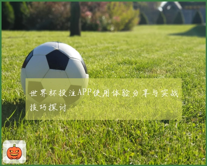 世界杯投注APP使用体验分享与实战技巧探讨